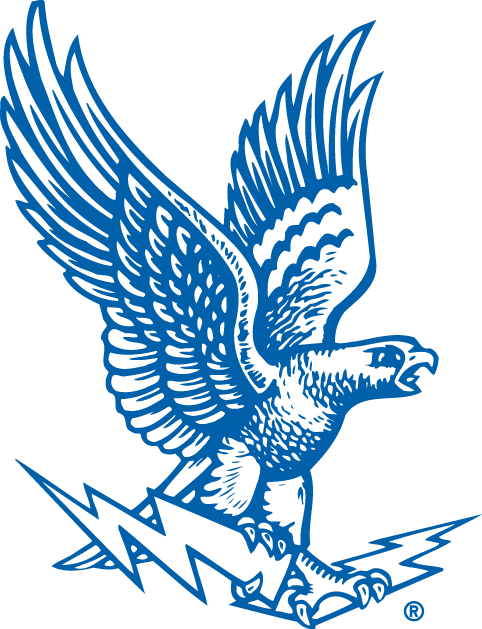 Air Force Falcons 1963-1994 Primary Logo diy fabric transfer